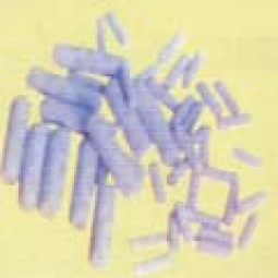 抛光料