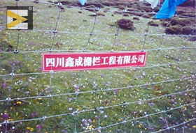 供应草原围栏(图)