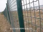 供应电焊网,电焊网片(图)