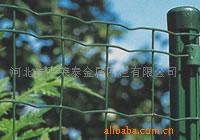 供应波浪网 卷网 荷兰网(图)