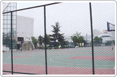 供应勾花网(图)