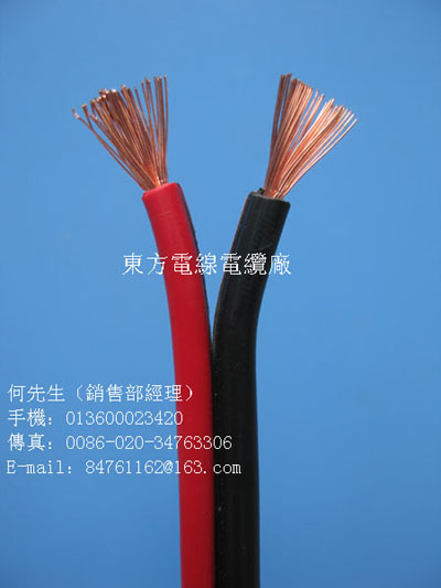 音箱電線13600023420圖(图)