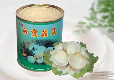 长期供应白灵菇罐头 AA级\A级 (图)