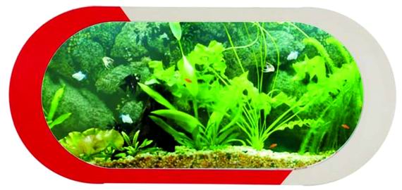 供应养鱼不换水的新新水族鱼缸 (图)