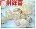 供应达玛树脂(图)