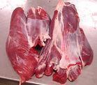 供应优质羊肉(图)