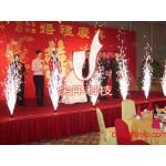 供应浏阳婚庆冷焰火/冷烟花 (图)