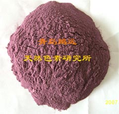 供应紫甘薯全粉(图)