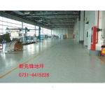 供应新先锋地坪(图)