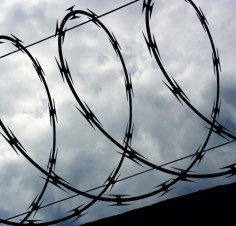 供应刀片刺绳、刀片刺网、蛇腹网、刮刀式刺网(图)