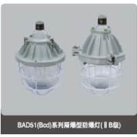 BAD51(Bcd)系列隔爆型防爆灯(ⅡB级)