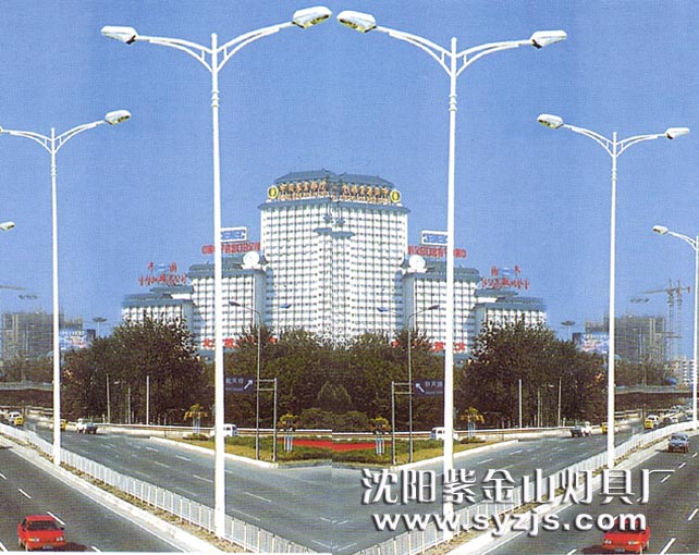 供应路灯(图)