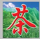 供应安溪正宗烤火型茶叶-浓香型铁观音茶叶(图)