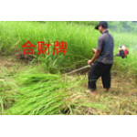 小型水稻收割机(图)