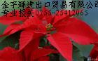 供应深圳进出口报关(图)
