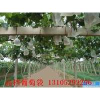 葡萄袋，葡萄套袋，“兆丰”葡萄套袋山东莱阳银通纸业