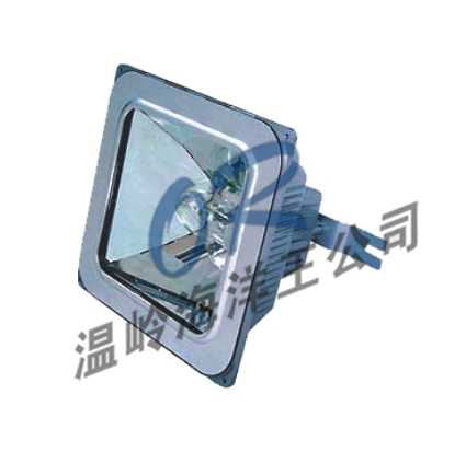 供应海洋王照明,NFC9100,防眩棚顶灯 (图)
