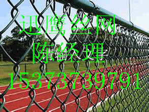 供应马路绿化带勾花网(图)